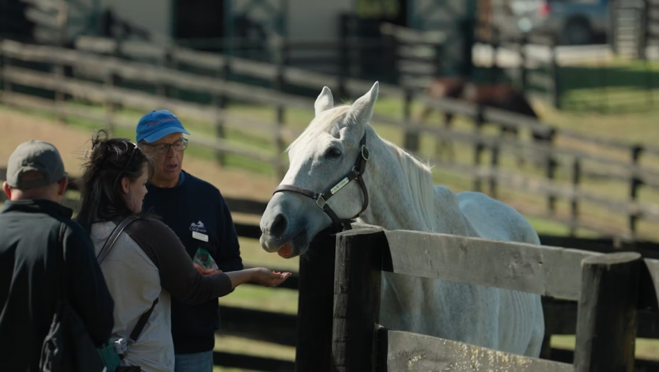 For Love of the Horse With Old Friends Founder Michael Blowen